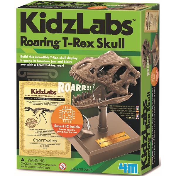 8503399 4M 00-03399 Aktivitetspakke, Roaring T-Rex Skull Kidz Labs, 4M
