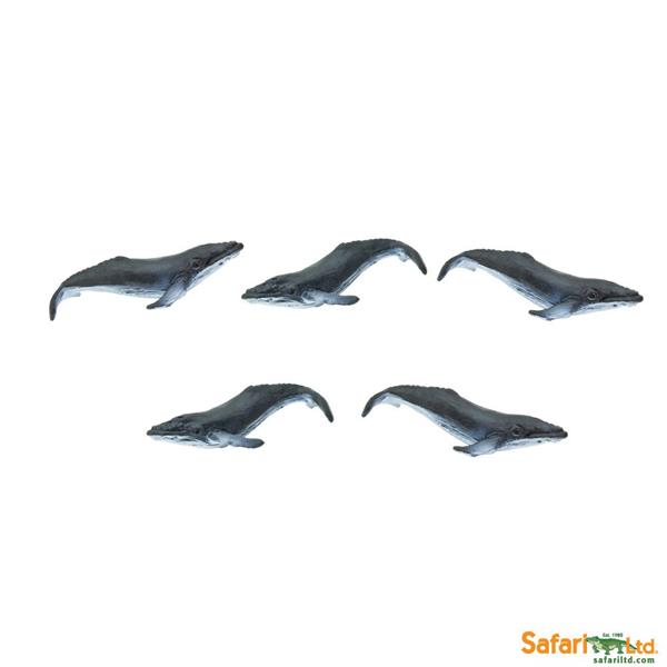 SAF350822  S350822 Good Luck Minis, Knølhval, 2,5 cm Små figurer, myk plast SAFARI