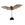 11673  11673 3-D Paper Model flaggermus Spider, Fridolin