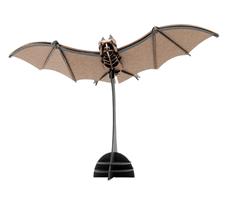 11673  11673 3-D Paper Model flaggermus Spider, Fridolin