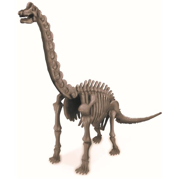 8503237 4M 00-03237 Aktivitetspakke, Brachiosaurus 4M Dinosaur