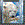 WK00022  00022 Postkort, 3D, kvadratiske, Isbjørn fisk Polarbear w. fish, Worth Keeping