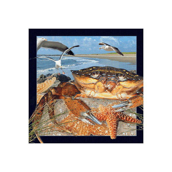 WK00025  00025 Postkort, 3D, kvadratiske, Krabbe Crab, Worth Keeping