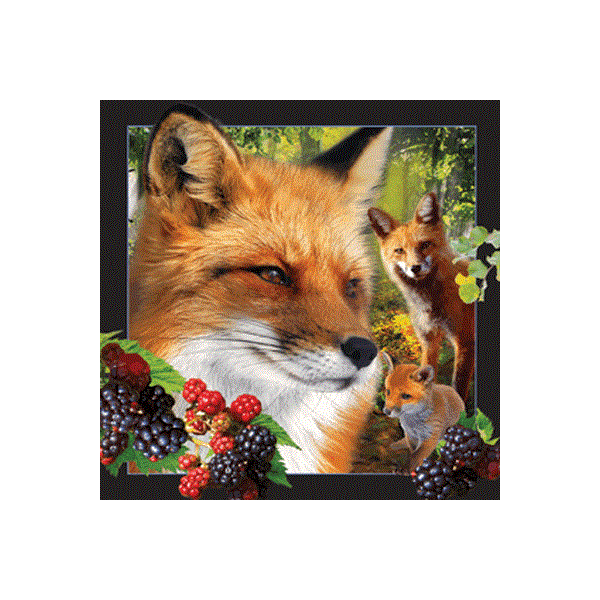 WK00037  00037 Postkort, 3D, kvadratiske, Rødrev Fox, Worth Keeping