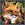 WK00037  00037 Postkort, 3D, kvadratiske, Rødrev Fox, Worth Keeping