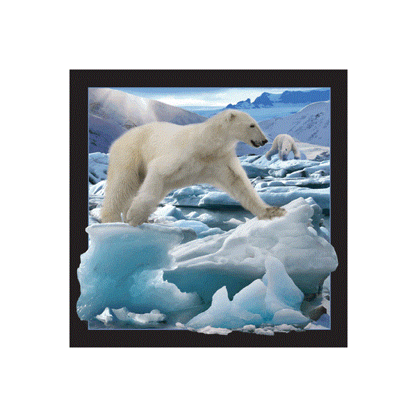 WK00043   Postkort, 3D, kvadratiske, Isbjørn hoppe Polarbear jumping, Worth Keeping