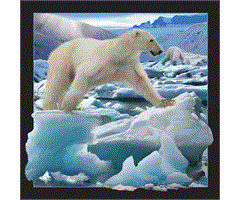 WK00043   Postkort, 3D, kvadratiske, Isbj&#248;rn hoppe Polarbear jumping, Worth Keeping