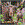 WK00015  00015 Postkort, 3D, kvadratiske, Elg Moose, Worth Keeping