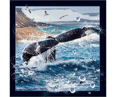 WK00052  00052 Postkort, 3D, kvadratiske, Hvalhale Whaletail, Worth Keeping