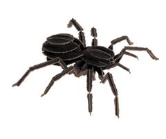 9422777  11605 3-D Paper Model edderkopp Spider, Fridolin