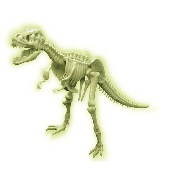 8503420 4M 00-03420 Aktivitetspakke, Glow T-Rex Skeleton Display, 4M